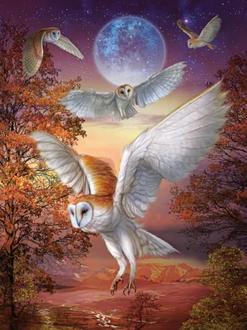 Produit Hiboux au Clair de Lune Image