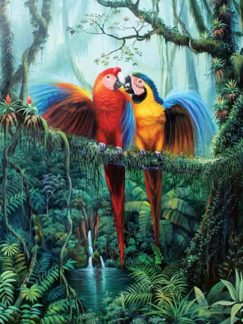 Produit Love in the Forest Image