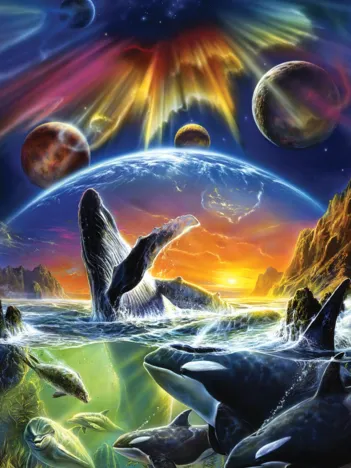 Produit Univers Orka Image