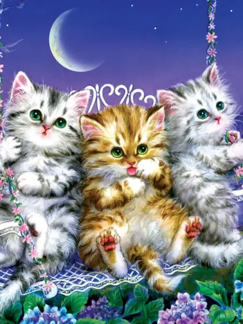 Produit Chatons se Balançant au Clair de Lune Image
