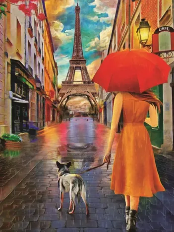 Produit Amitié Sous la Pluie Image