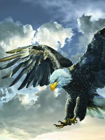 Produit Black and White Image