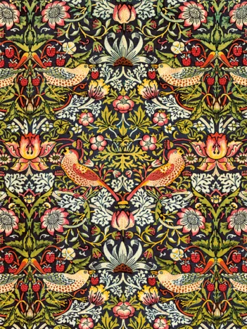 Produit Voleurs de Fraises - Morris Image