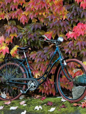 Produit Automne Image