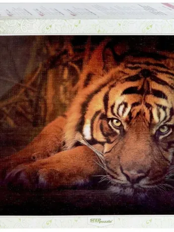 Produit Tigre de Sibérie Image