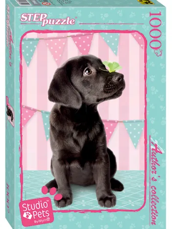 Produit Studio Pets Image