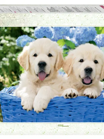 Produit Chiots dans un Panier Image