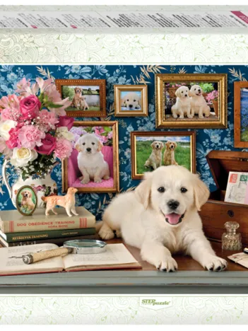 Produit Favorite pet Image