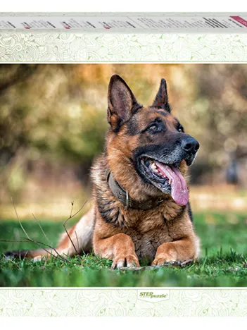 Produit Berger Allemand Image