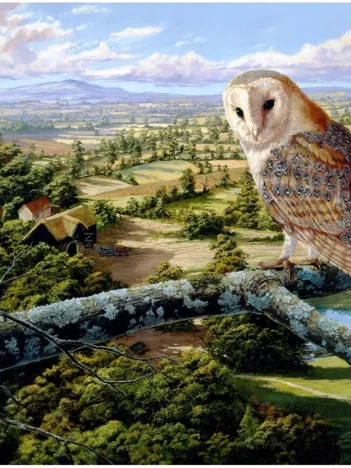 Produit Puzzle en Bois - Barn Owl Image