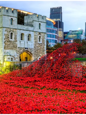 Produit Puzzle en Bois - Tower of London Remembrance Image