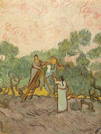 Produit Van Gogh Vincent : Femmes ramassant des Olives, 1889 Image