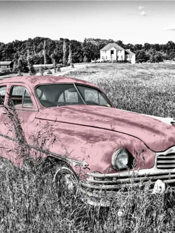 Produit Oldtimer - Rose Image