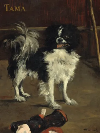 Produit Edouard Manet : Tama : Le Chien Japonais, 1875 Image