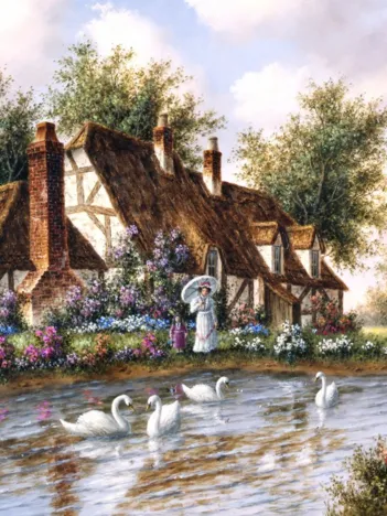 Produit Dennis Lewan - Admiring The Swans Image