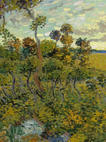 Produit Pièces XXL - Van Gogh Vincent : Coucher de Soleil à Montmajour, 1888 Image