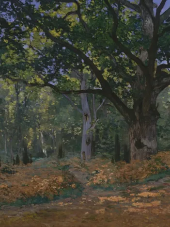 Produit Pièces XXL - Claude Monet: Fontainebleau, 1865 Image