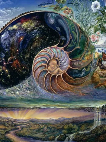 Produit Josephine Wall - Nautilus Image