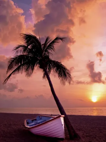 Produit Coucher de Soleil au Paradis Image