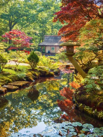 Produit Forêt Zen Image