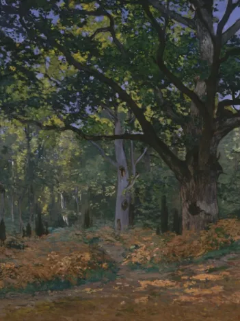 Produit Claude Monet: Fontainebleau, 1865 Image