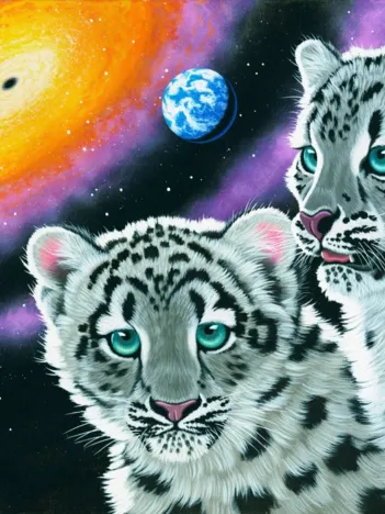 Produit Schim Schimmel - Miracle of the Universe Image