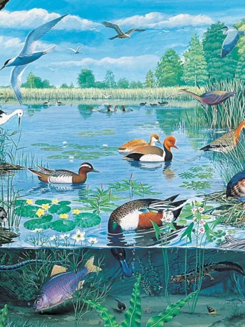 Produit Etangs et Lacs Image