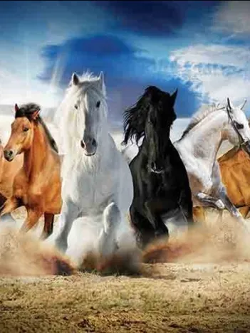 Produit Full Speed Gallop Image