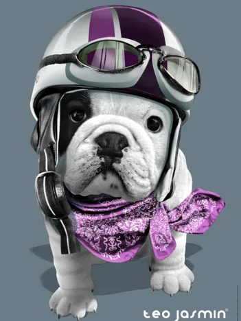 Produit Téo Racing / Téo Jasmin Image