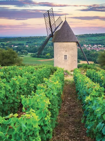 Produit Moulin Sorine - Vignoble de Santenay - Bourgogne Image