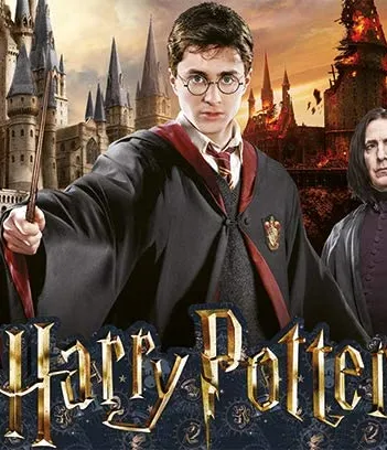 Produit Harry Potter - La Guerre des Sorciers Image