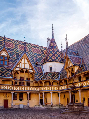 Produit Des Racines et des Ailes - Les Hospices de Beaune Image