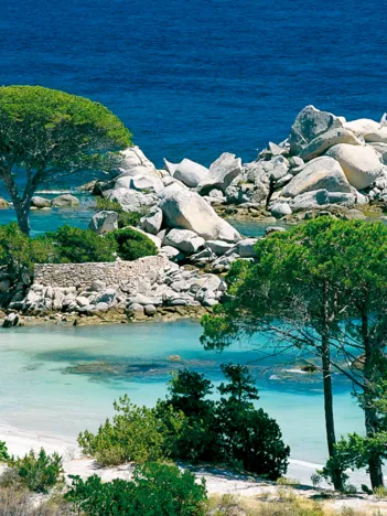 Produit Plage de Palombaggia / Corse du Sud Image