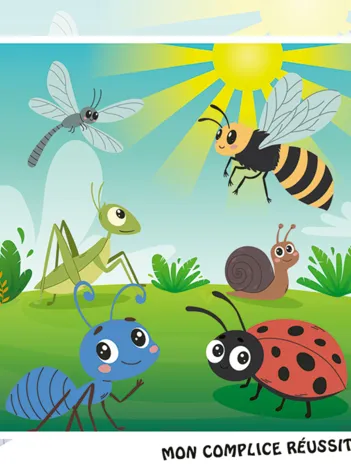Produit Les Petits Insectes Image