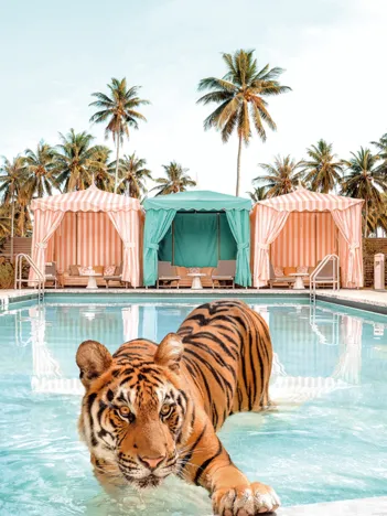 Produit Baignade royale - Paul Fuentes Design Image