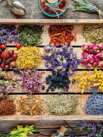 Produit Les Plantes Médicinales Image