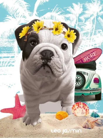 Produit Téo California Image