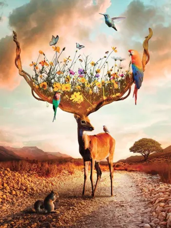 Produit L'Appel de la Nature Image