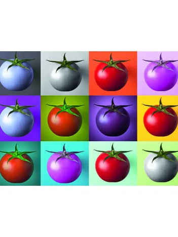 Produit Pop Art - Tomates Image