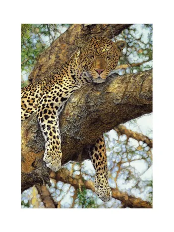 Produit Léopard Image