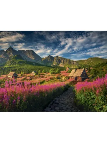 Produit Vallée de la Gasienica Image