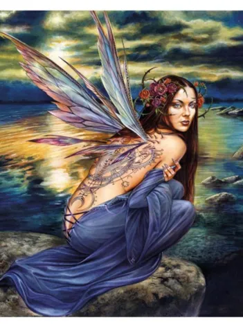 Produit Butterfly Fairy Image