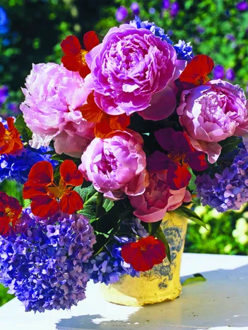 Produit Bouquet Image