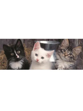 Produit Pièces XXL - Trois Chatons Image