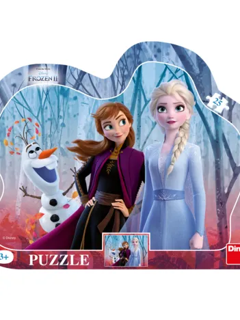 Produit Puzzle Cadre - La Reine des Neiges 2 Image