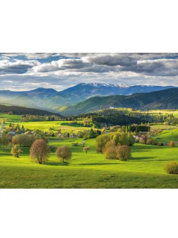 Produit Printemps A Povraznik Image