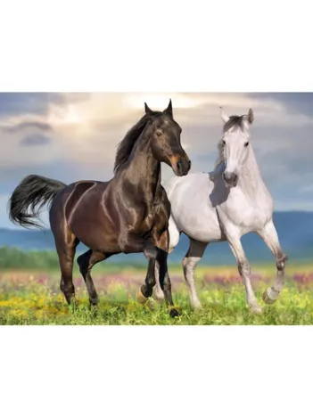 Produit Chevaux Amoureux Image