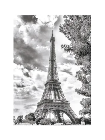 Produit Tour Eiffel Noir et Blanche Image