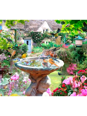 Produit Oiseaux D'Été Image