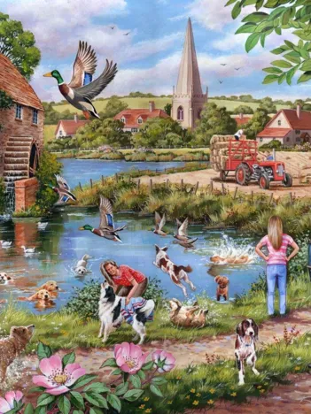 Produit Nage Du Chien Image